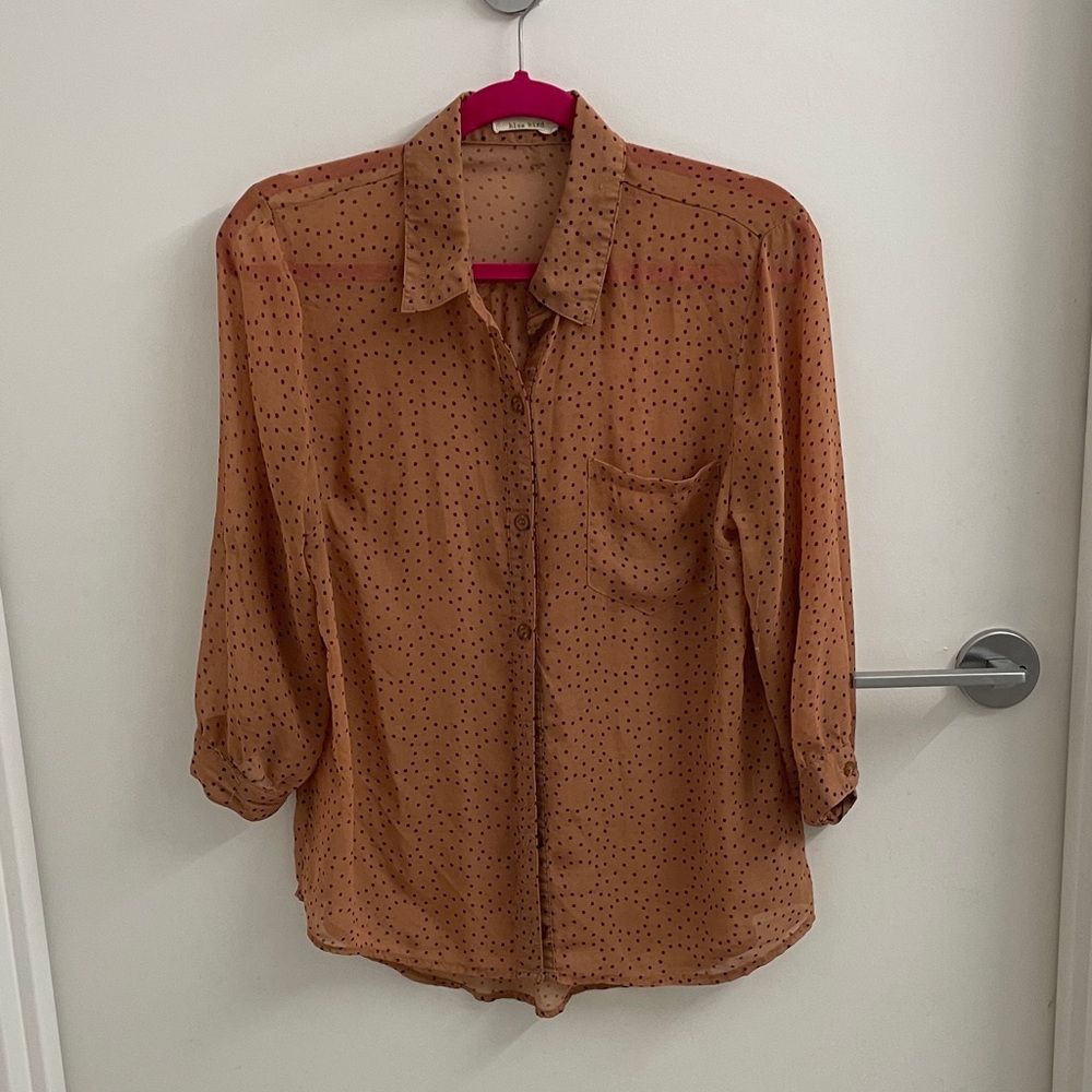 Blue Bird Brown Polka Dot Sheer Blouse